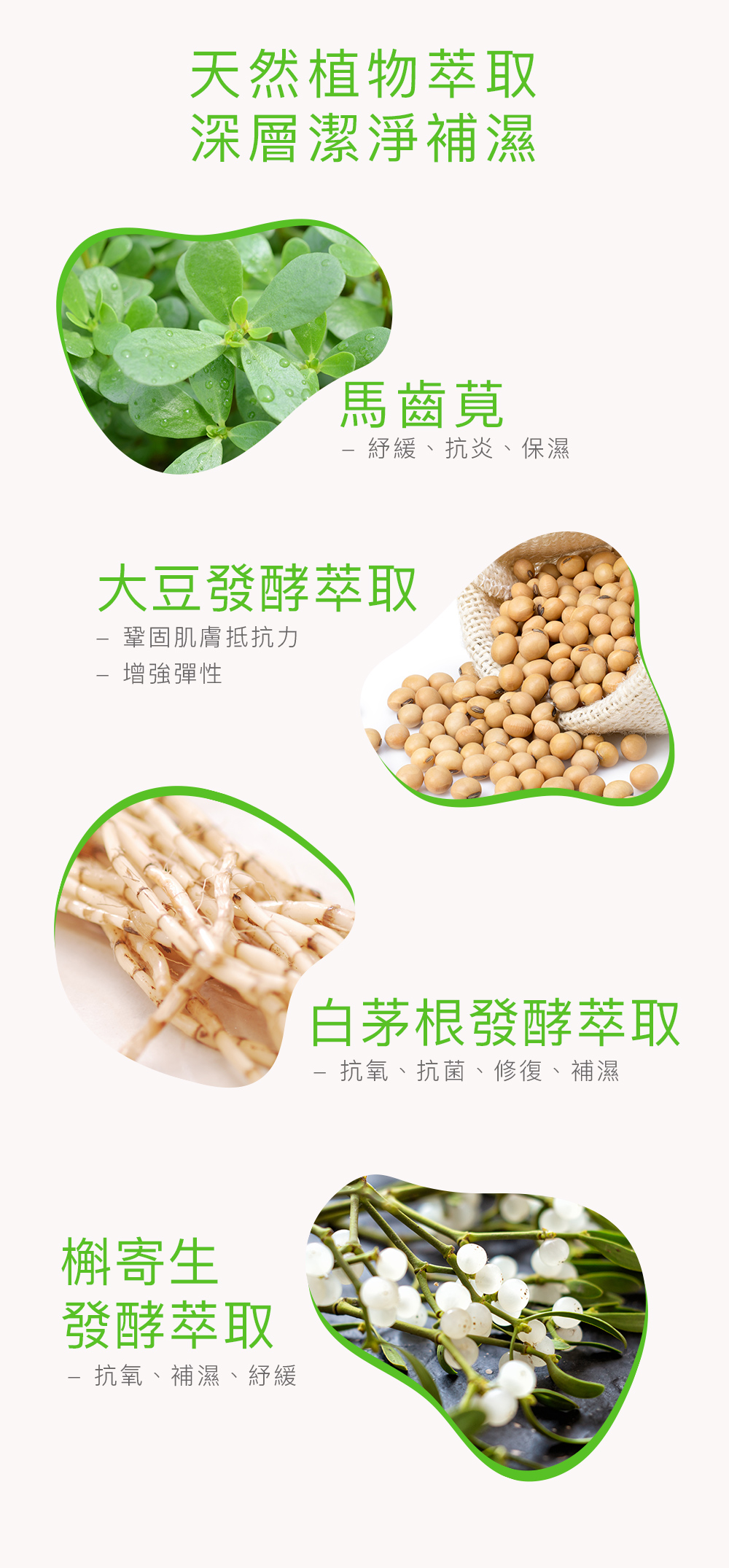 2. 天然植物萃取 深層潔淨補濕 馬齒莧 - 紓緩、抗炎、保濕 大豆發酵萃取 - 鞏固肌膚抵抗力 - 增強彈性 白茅根發酵萃取 - 抗氧、抗菌、修復、補濕 槲寄生發酵萃取 - 抗氧、補濕、紓緩