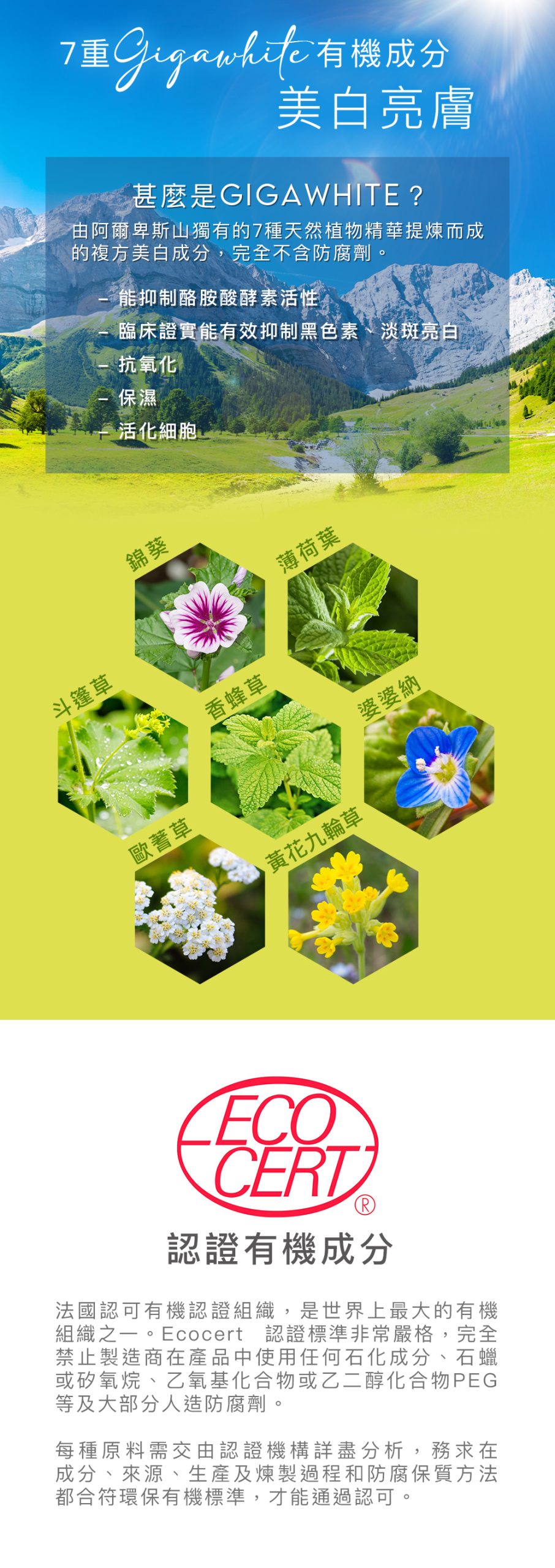 7重GIGAWHITE 有機成分 美白亮膚 甚麼是GIGAWHITE？ 由阿爾卑斯山獨有的7種天然植物精華提煉而成的複方美白成分，完全不含防腐劑。 - 能抑制酪胺酸酵素活性 - 臨床證實能有效抑制黑色素、淡斑亮白 - 抗氧化 - 保濕 - 活化細胞 錦葵 薄荷葉 斗篷草 香蜂草 婆婆納 歐蓍草 黃花九輪草 Ecocert 認證有機成分 法國認可有機認證組織，是世界上最大的有機組織之一。Ecocert 認證標準非常嚴格，完全禁止製造商在產品中使用任何石化成分、石蠟或矽氧烷、乙氧基化合物或乙二醇化合物PEG等及大部分人造防腐劑。 每種原料需交由認證機構詳盡分析，務求在成分、來源、生產及煉製過程和防腐保質方法都合符環保有機標準，才能通過認可。
