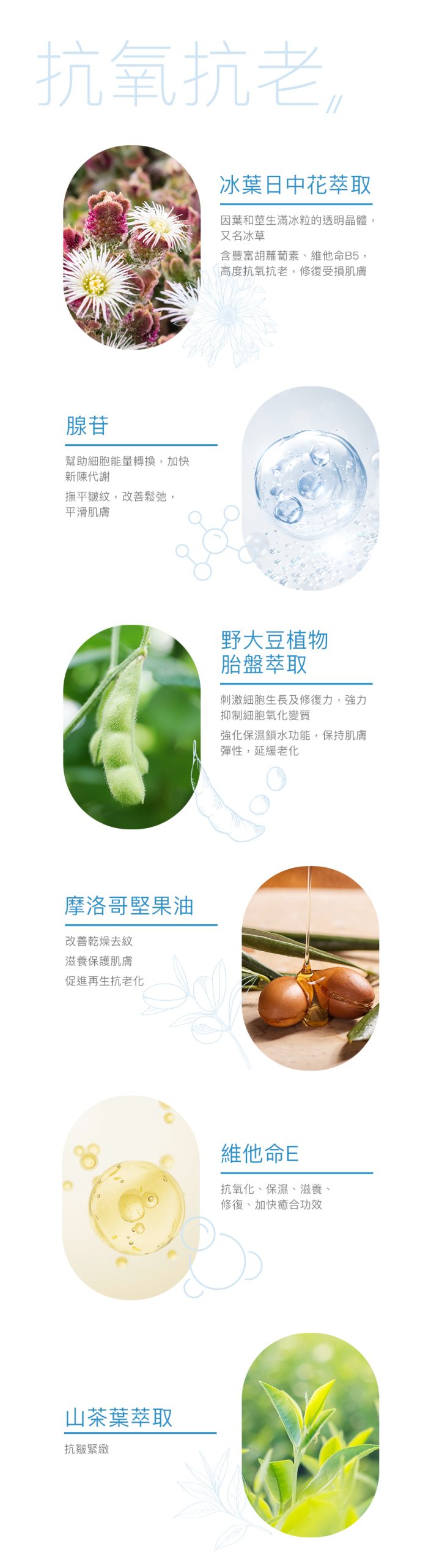 2. 抗氧抗老 冰葉日中花萃取 - 因葉和莖生滿冰粒的透明晶體，又名冰草 - 含豐富胡蘿蔔素、維他命B5，高度抗氧抗老，修復受損肌膚 腺苷 - 幫助細胞能量轉換，加快新陳代謝 - 撫平皺紋，改善鬆弛，平滑肌膚 野大豆植物胎盤萃取 - 刺激細胞生長及修復力，強力抑制細胞氧化變質 - 強化保濕鎖水功能，保持肌膚彈性，延緩老化 摩洛哥堅果油 - 改善乾燥去紋 - 滋養保護肌膚 - 促進再生抗老化 山茶葉萃取 - 抗皺緊緻 維他命E - 抗氧化、保濕、滋養、修復、加快癒合功效